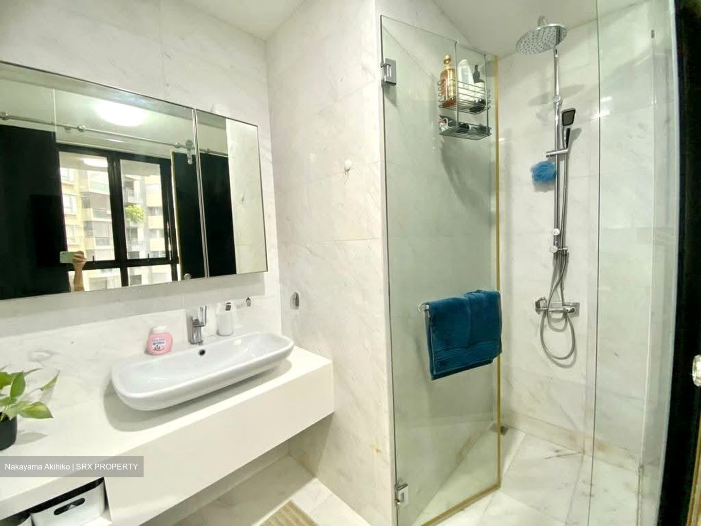 Fulcrum (D15), Condominium #526497381